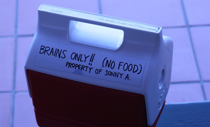 Image of a cooler holding brains