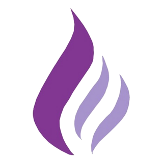 Epilepsy New Zealand logo