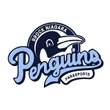 Niagara Penguins Icon