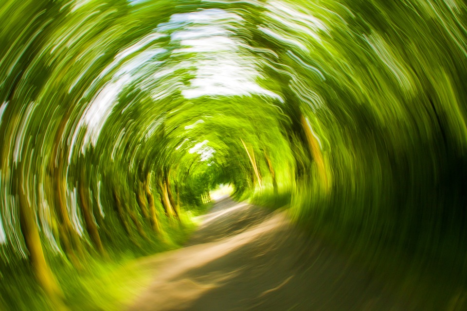 Trees Away Nature Eddy Turn Dizzy Fall Over