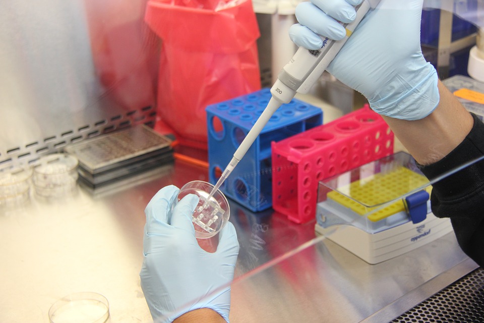 Science Lab Laboratory Research Science Lab