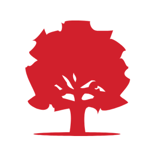 pt Health logo