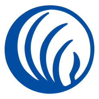 NAMI logo