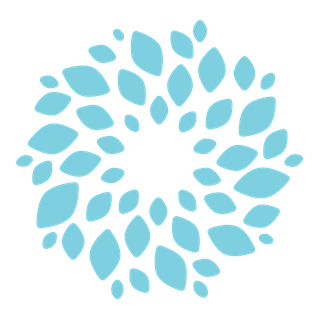 St Patrick's Mental Health Services logo