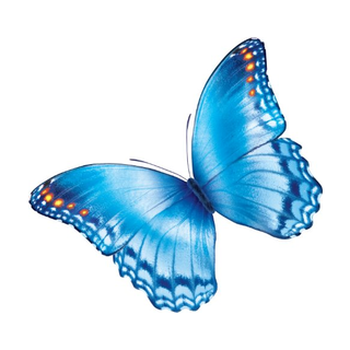 Nationwide Children’s Hospital logo