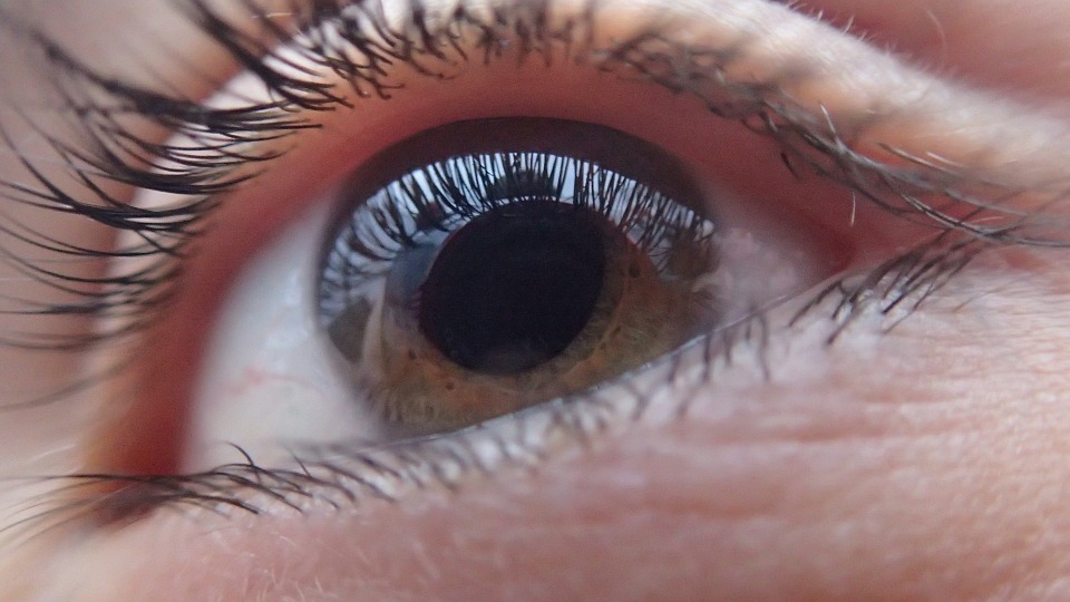 Eye Human Face Vision Look Person Eyeball Iris