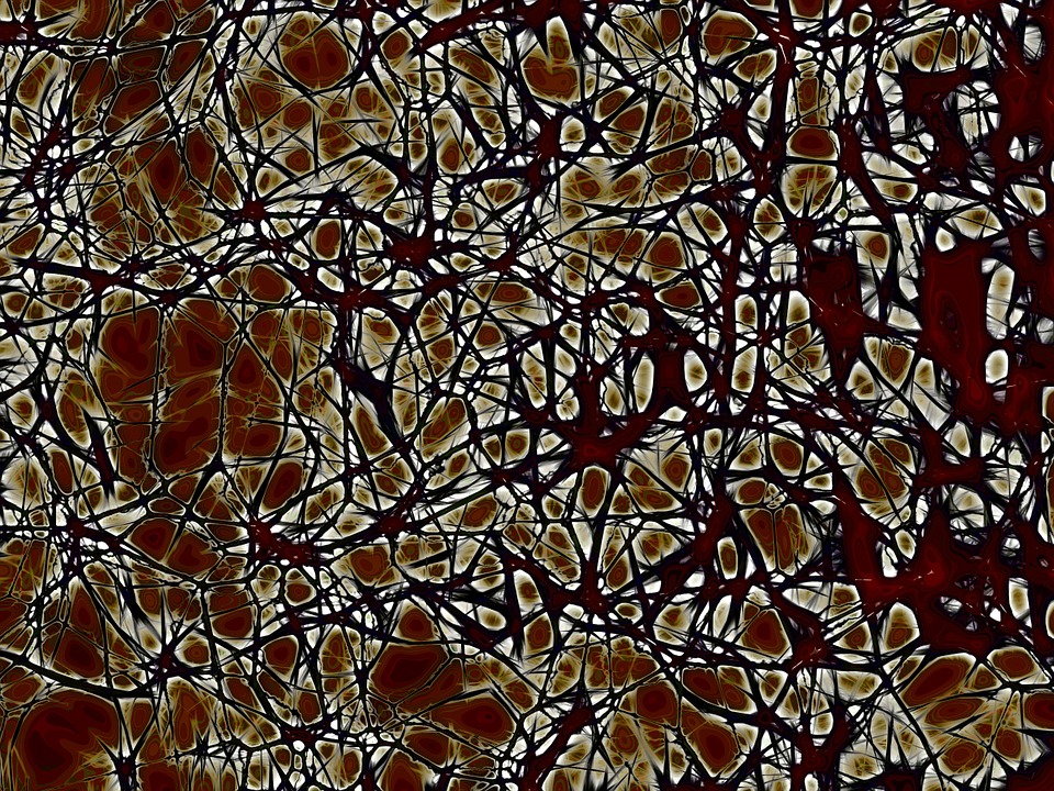 Neurons Brain Cells Nachahmnung Brain Structure